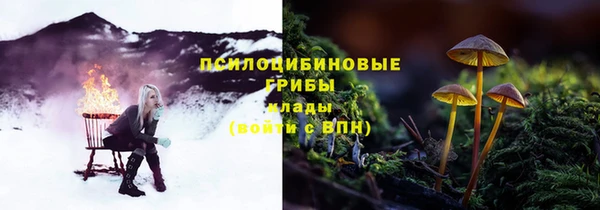 ПСИЛОЦИБИНОВЫЕ ГРИБЫ Абаза