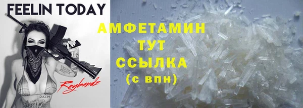 ПСИЛОЦИБИНОВЫЕ ГРИБЫ Абаза