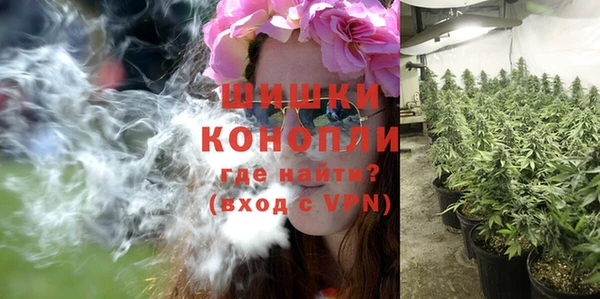 ПСИЛОЦИБИНОВЫЕ ГРИБЫ Абаза