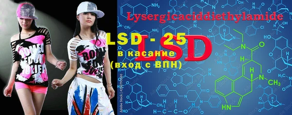 ПСИЛОЦИБИНОВЫЕ ГРИБЫ Абаза
