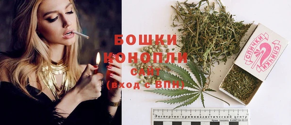 ПСИЛОЦИБИНОВЫЕ ГРИБЫ Абаза