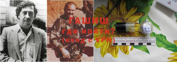 ПСИЛОЦИБИНОВЫЕ ГРИБЫ Абаза