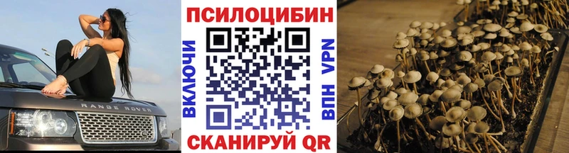 купить наркотик  Тутаев  Галлюциногенные грибы прущие грибы 