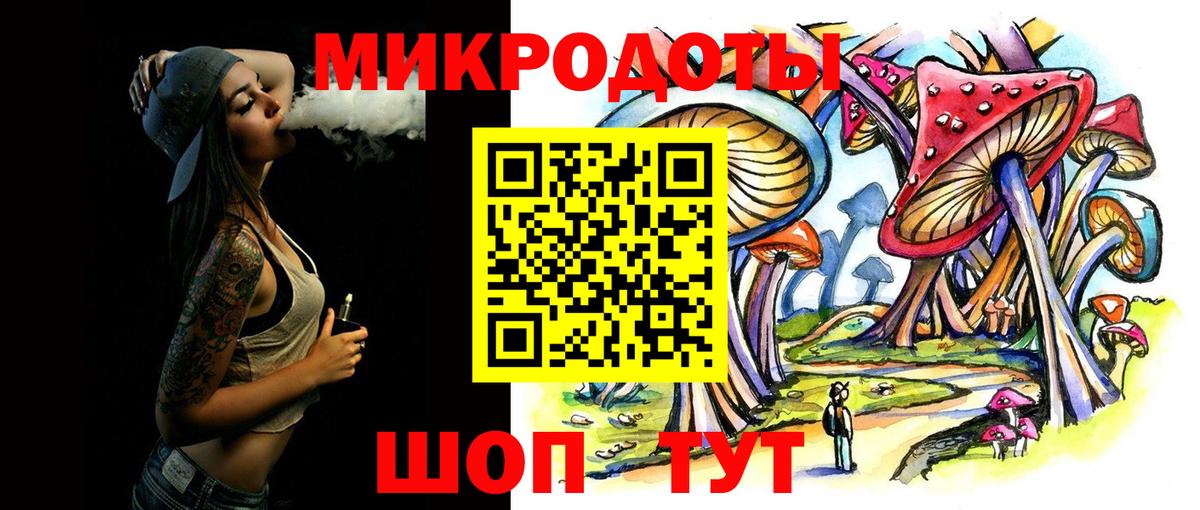 Псилоцибиновые грибы Psilocybine cubensis Тутаев
