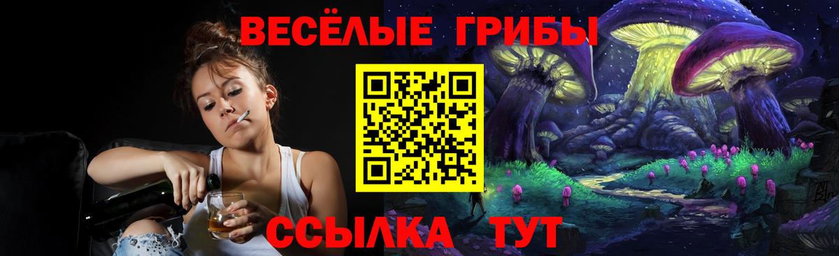 Тутаев  Псилоцибиновые грибы прущие грибы  Галлюциногенные грибы прущие грибы  Вход с VPN 